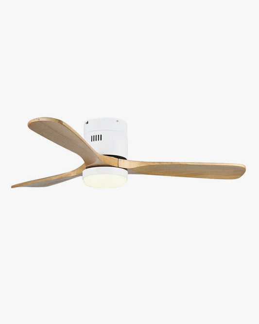 Lampe de ventilateur de plafond à profil bas WOMO-WM5040
