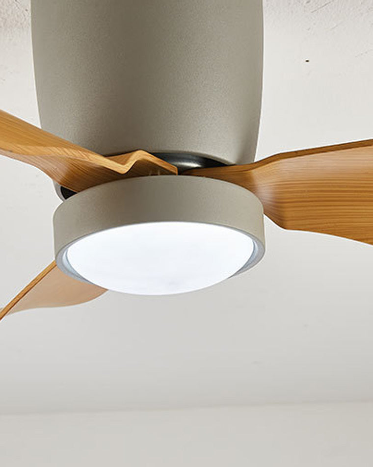 Lampe de ventilateur de plafond à profil bas WOMO-WM5056