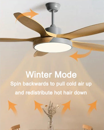 WOMO Ventilateur de plafond Scandinave-WM5002