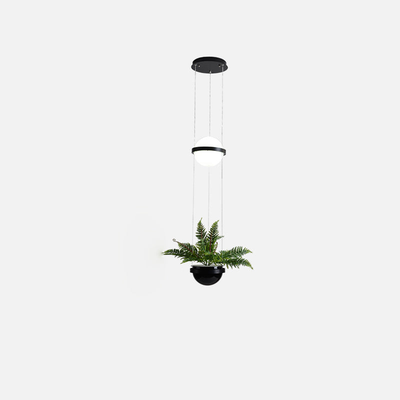 Suspension Globe WOMO Plant-WM2155