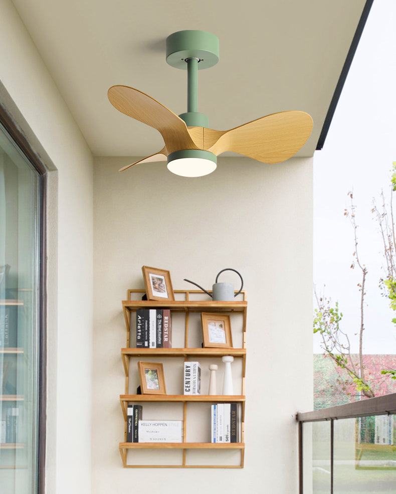 WOMO 24 pouces petite lampe de ventilateur de plafond- WM5172