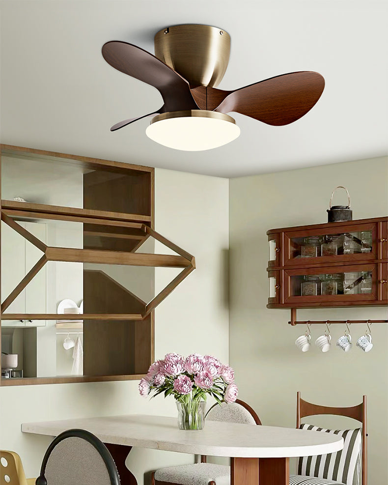 WOMO 24 pouces petite lampe de ventilateur de plafond à profil bas - WM5159