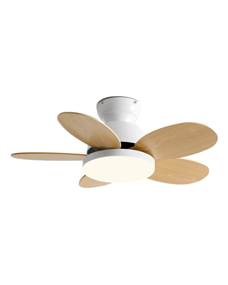 WOMO Ventilateur de plafond Multicolore-WM5004