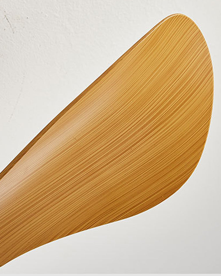 Lampe de ventilateur de plafond à profil bas WOMO-WM5056