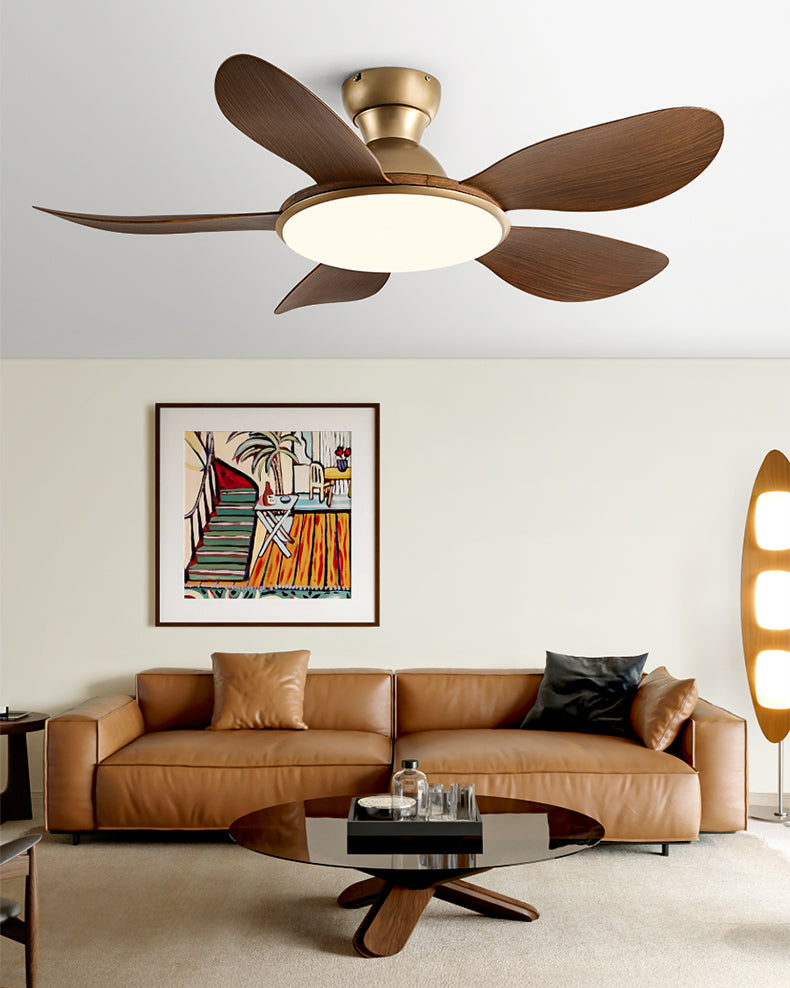 Lampe de ventilateur de plafond à profil bas WOMO- WM5164