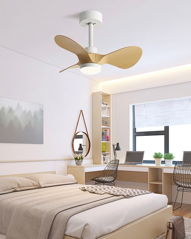 WOMO 24 pouces petite lampe de ventilateur de plafond- WM5172