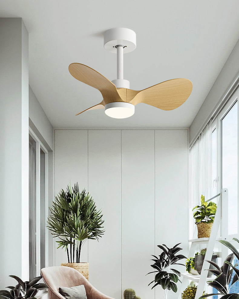 WOMO 24 pouces petite lampe de ventilateur de plafond- WM5172
