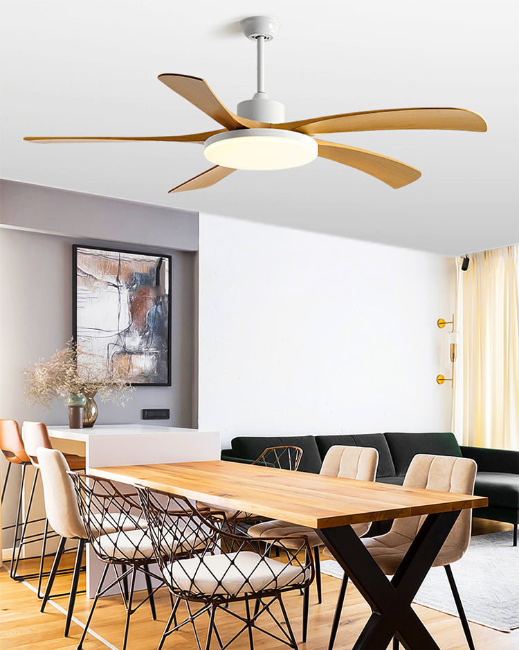 WOMO 60-inch large ceiling fan light - WM5179