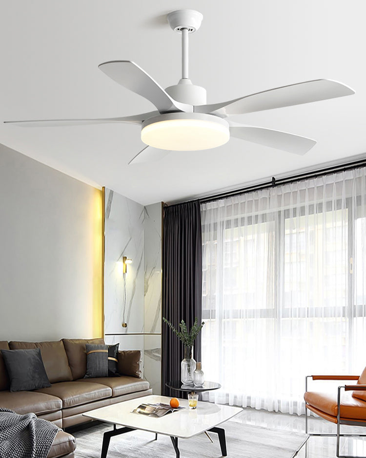 WOMO 60-inch large ceiling fan light - WM5179