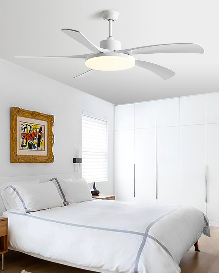 WOMO 60-inch large ceiling fan light - WM5179