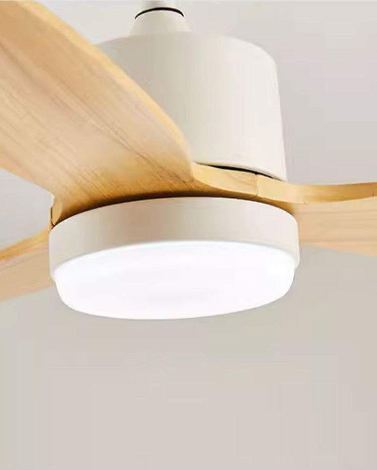 Lampe de ventilateur de plafond moderne WOMO Mid Century-WM5043