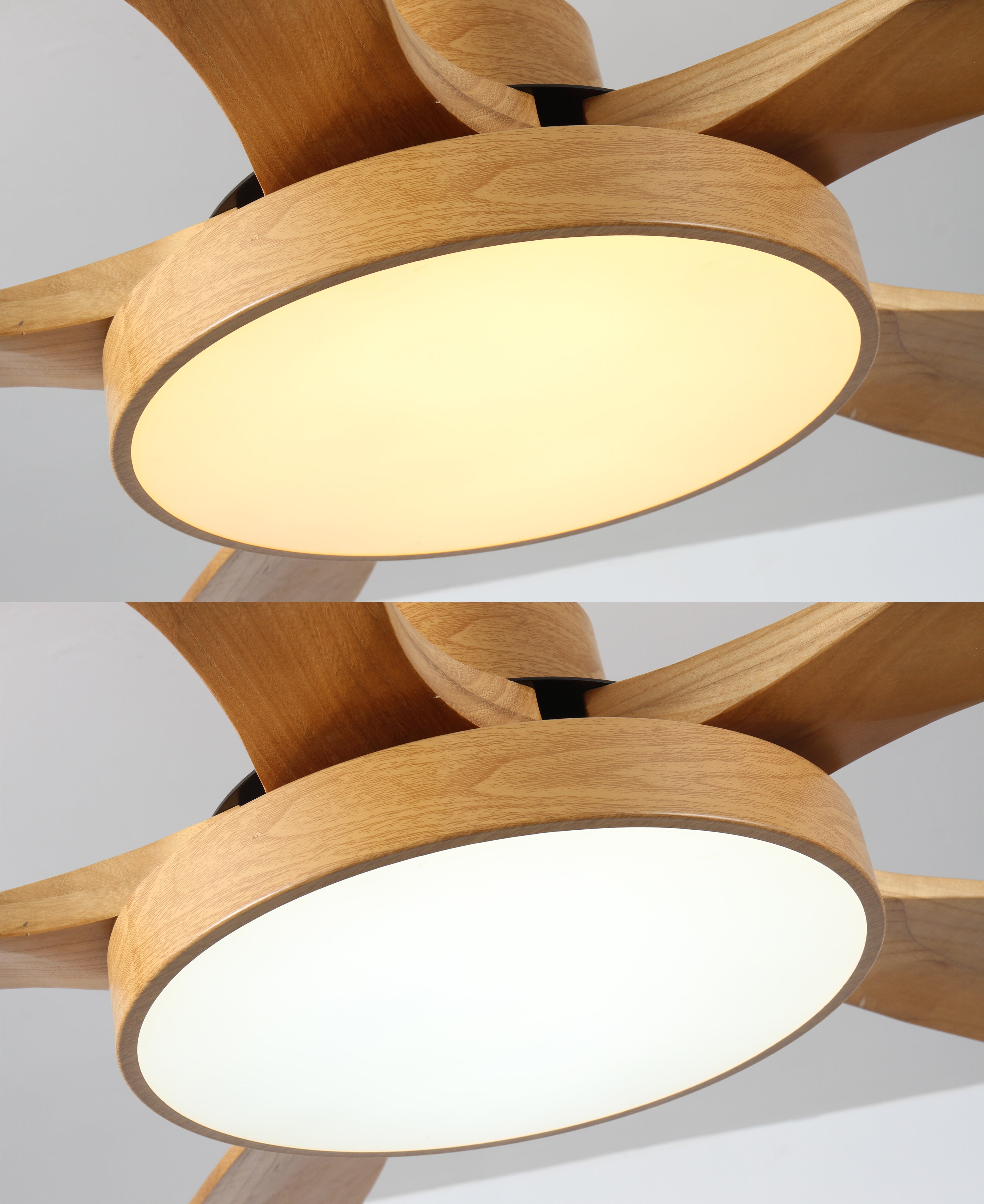 WOMO Ventilateur de plafond Scandinave-WM5002