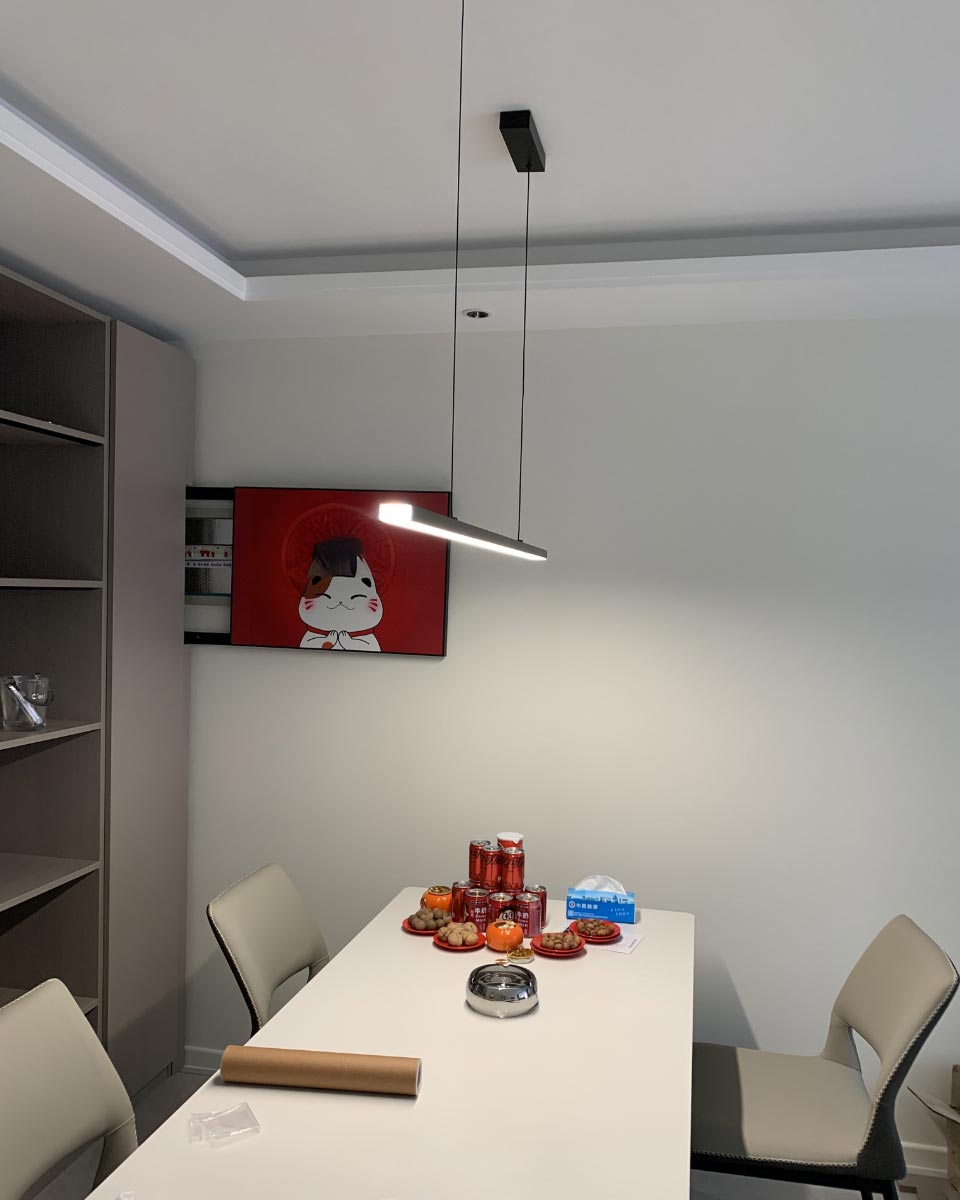 WOMO Suspension Lineaire Led Minimaliste- WM2011
