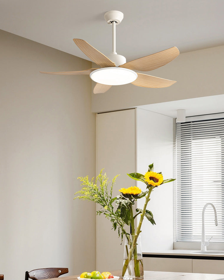 WOMO 42-WM5020 Low Profile Ceiling Fan Lamp