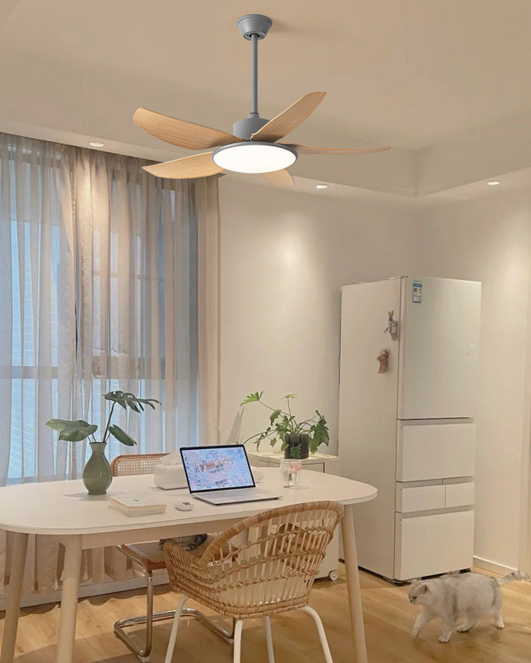 WOMO 42-WM5020 Low Profile Ceiling Fan Lamp