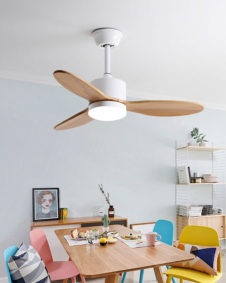 Lampe de ventilateur de plafond moderne WOMO Mid Century-WM5034