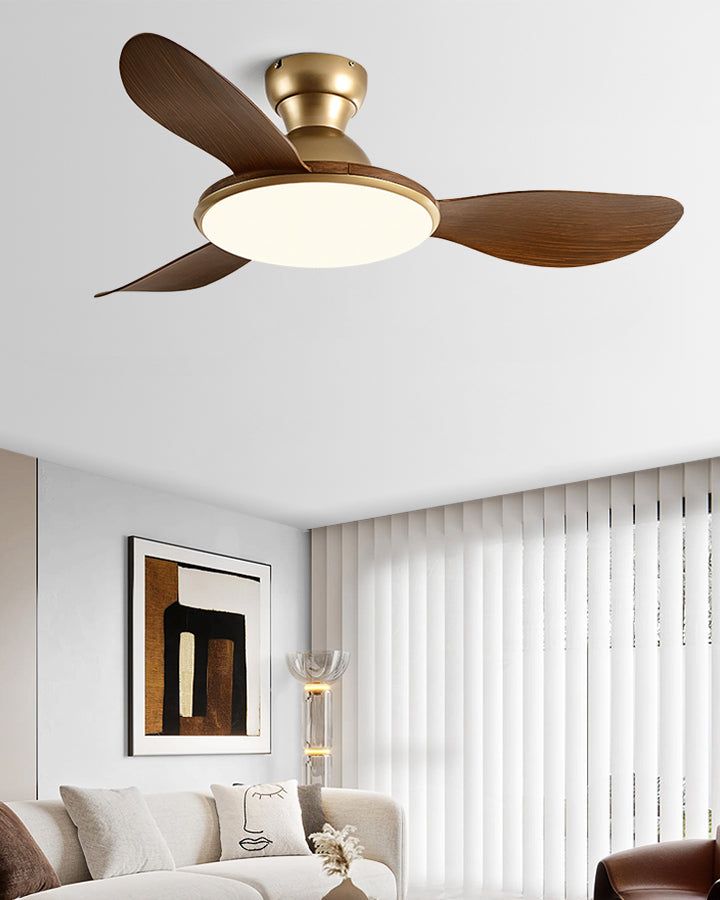 Lampe de ventilateur de plafond à profil bas WOMO- WM5164
