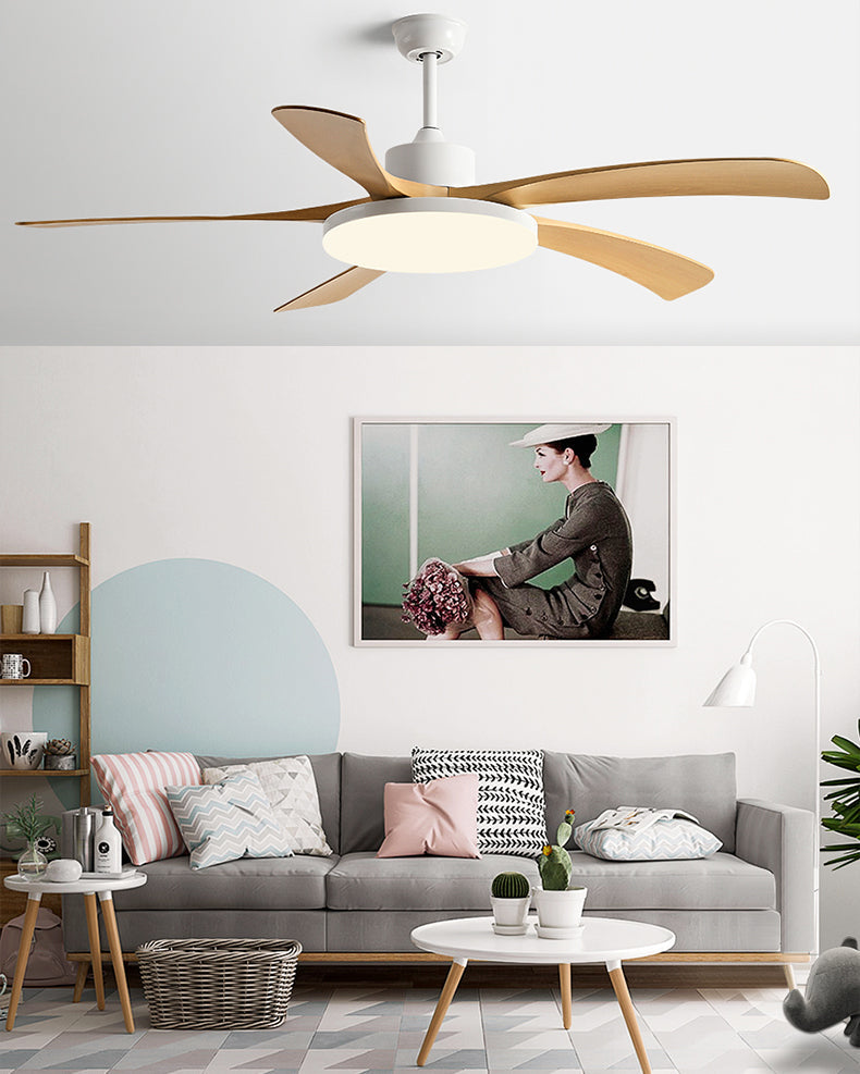 WOMO 60-inch large ceiling fan light - WM5179