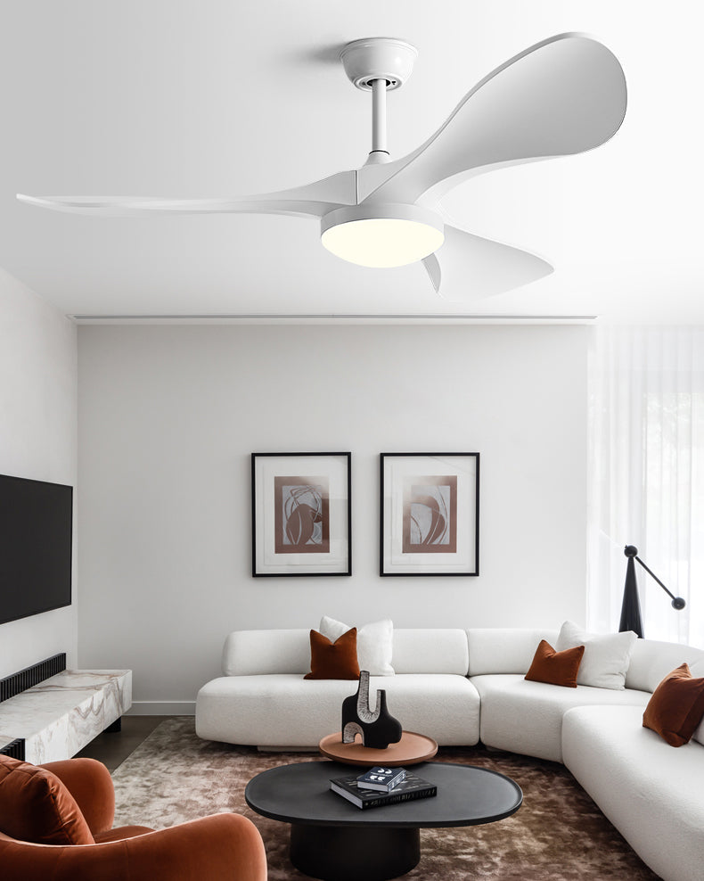 Lampe de ventilateur de plafond moderne WOMO 52 pouces-WM5224
