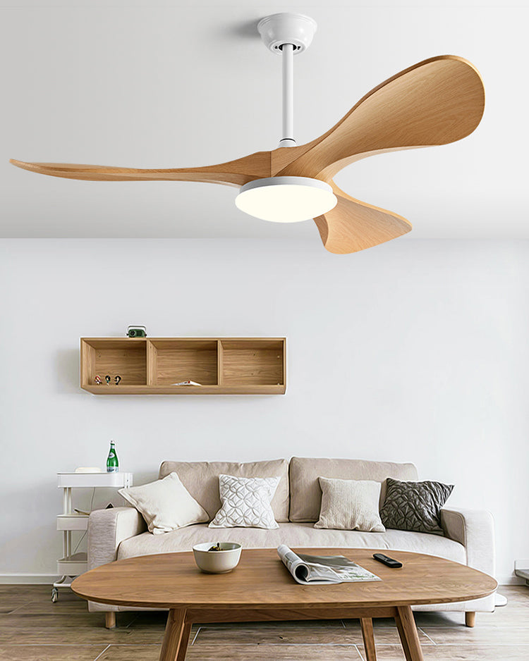 Lampe de ventilateur de plafond moderne WOMO 52 pouces-WM5224