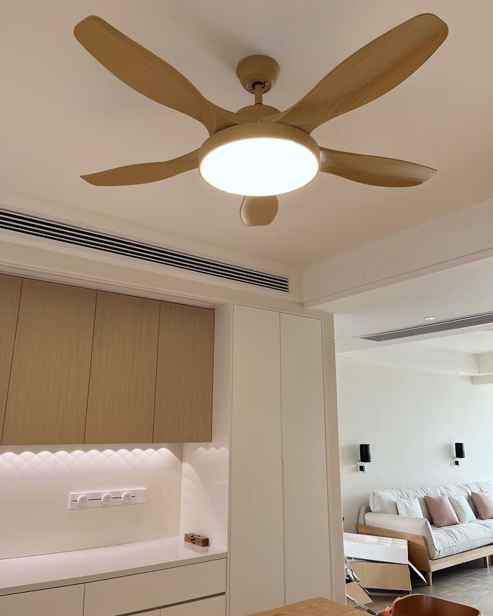 Lampe de ventilateur de plafond WOMO à 5 pales - WM5245b