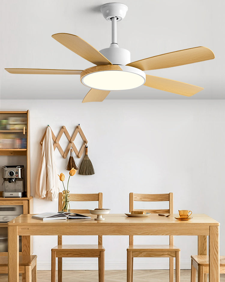 Lampe de ventilateur de plafond moderne à 5 pales WOMO - WM5250