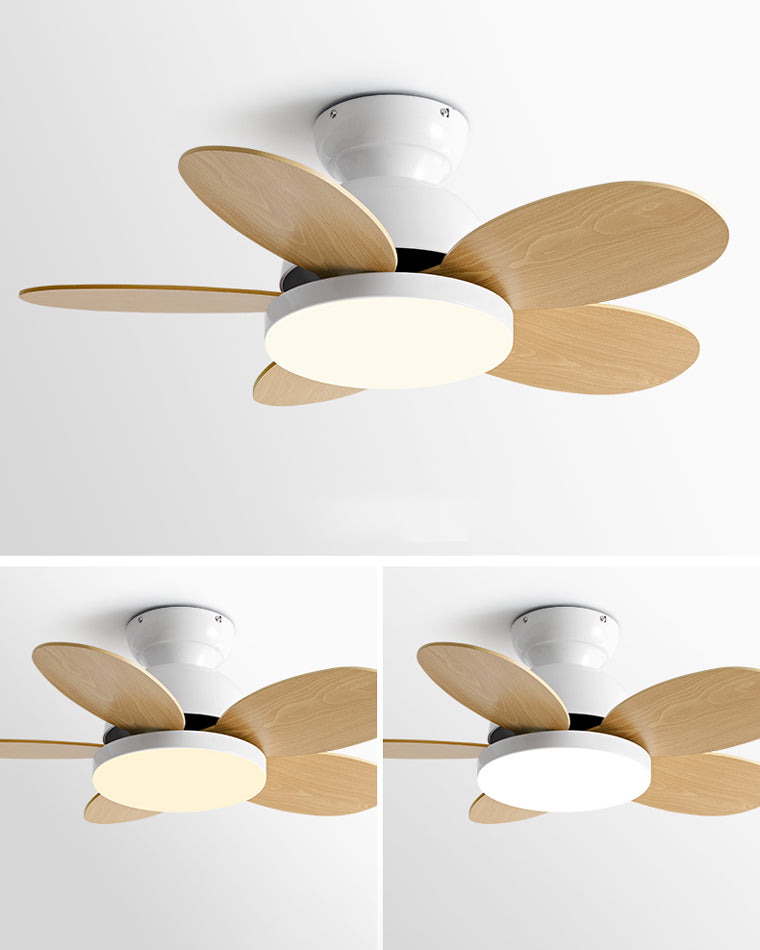 WOMO Ventilateur de plafond Multicolore-WM5004