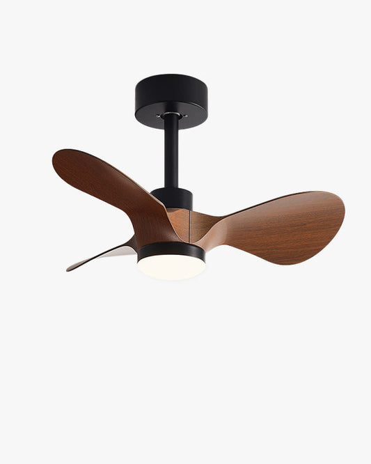 WOMO 24 pouces petite lampe de ventilateur de plafond- WM5172