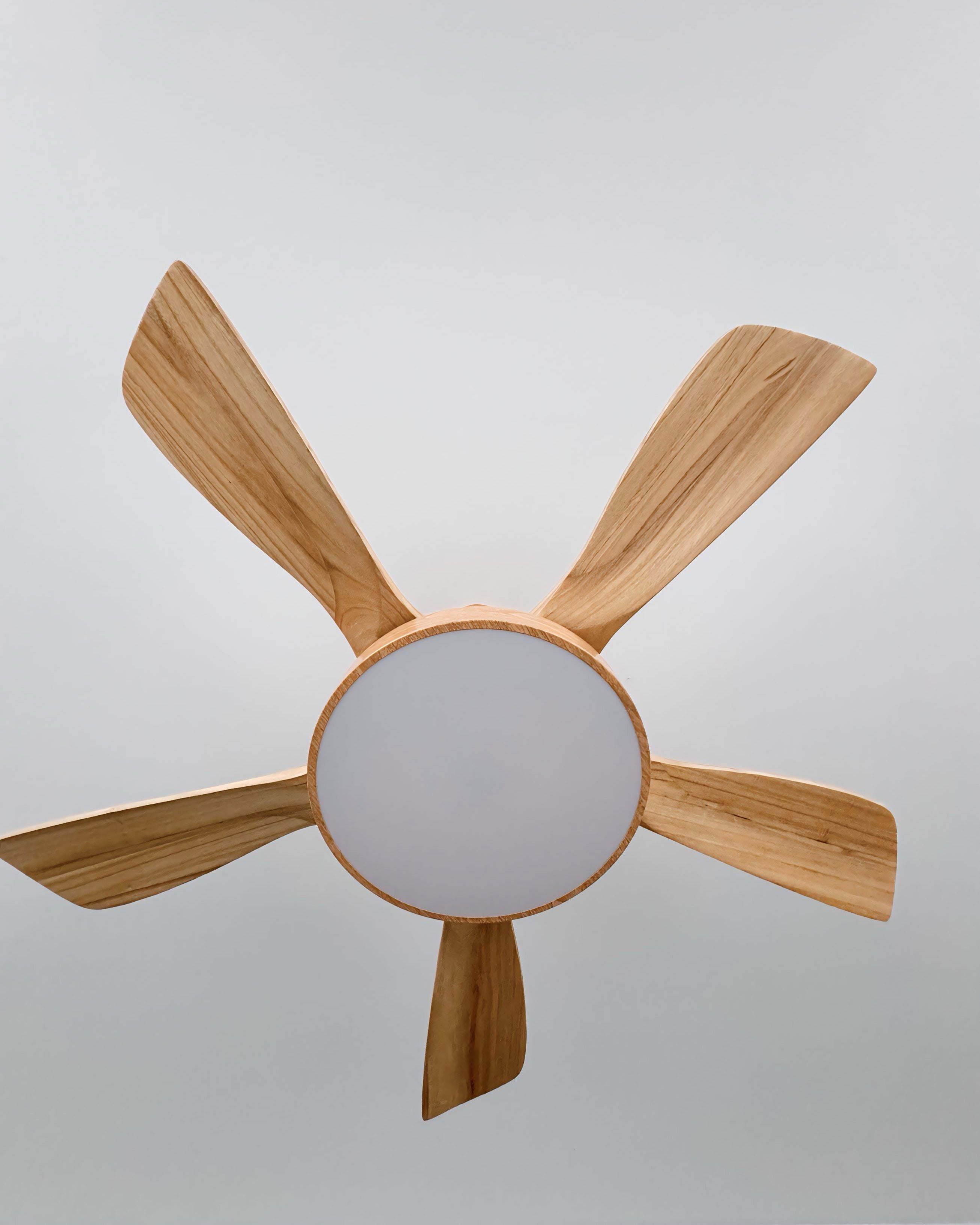 WOMO Ventilateur de plafond Scandinave-WM5002