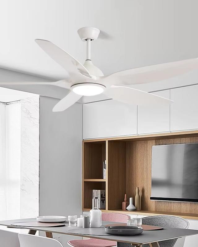 WOMO Ventilateur de plafond bas 5 Pales-WM5062